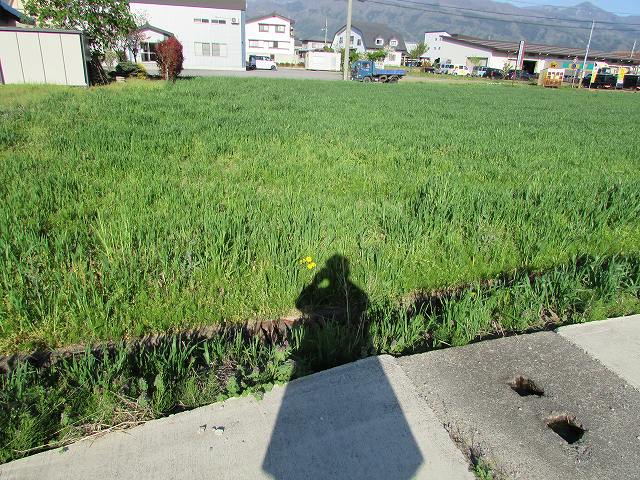 長野県飯山市土地売土地