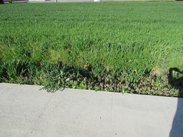 長野県飯山市土地売土地