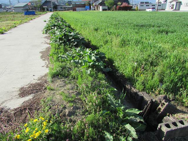 長野県飯山市土地売土地
