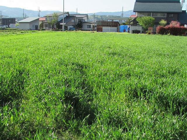 長野県飯山市土地売土地