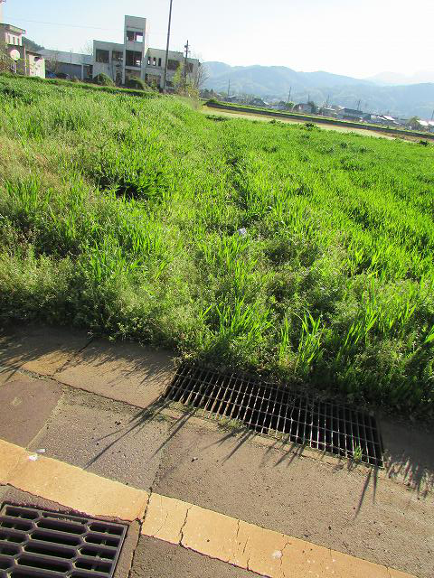 長野県飯山市土地売土地