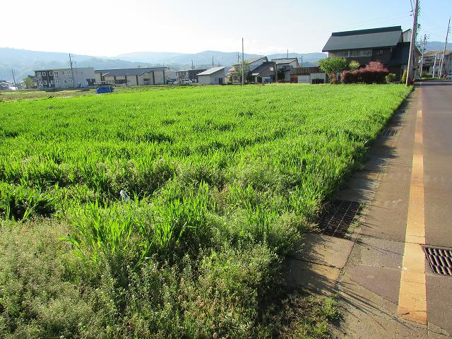 ���쌧�Z��p�n�y�n