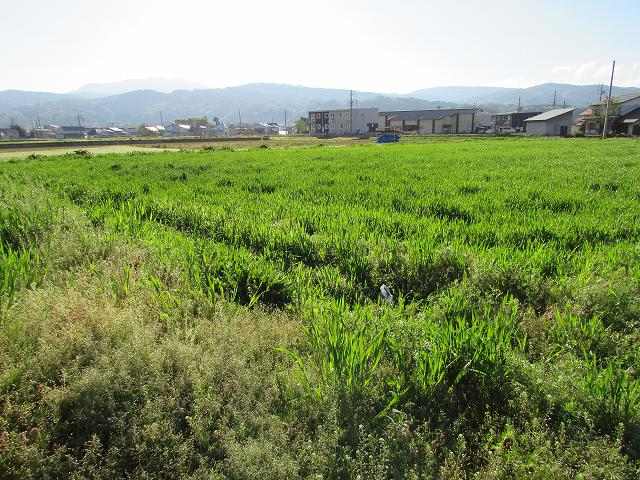 長野県飯山市土地売土地