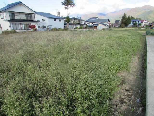 長野県飯山市土地