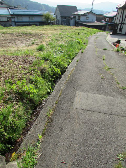 nozawa-onsen_land_for_sale長野県土地