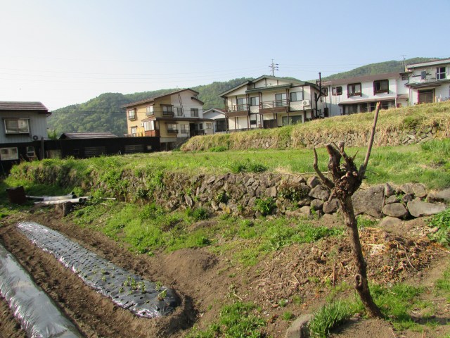 nozawa-onsen_land_for_sale長野県土地