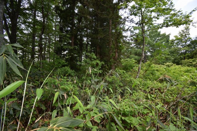 長野県土地nozawa-onsen野沢温泉村