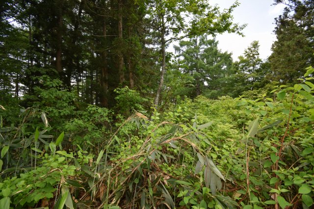 長野県土地nozawa-onsen野沢温泉村