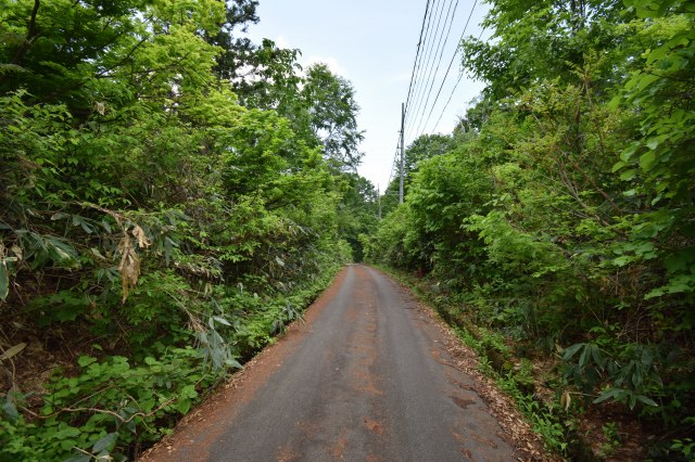 長野県土地nozawa-onsen野沢温泉村