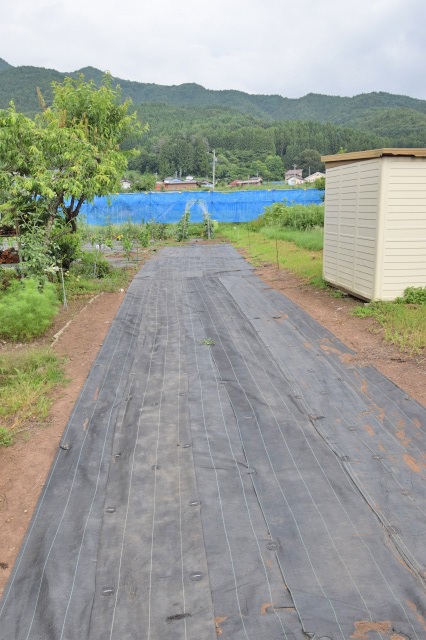 長野県住宅用売土地