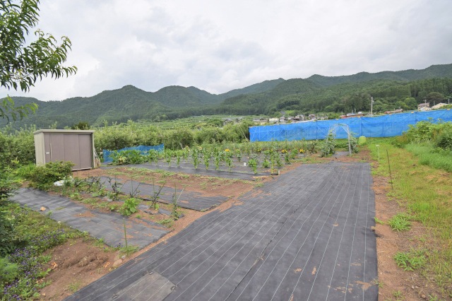 ���쌧�y�n