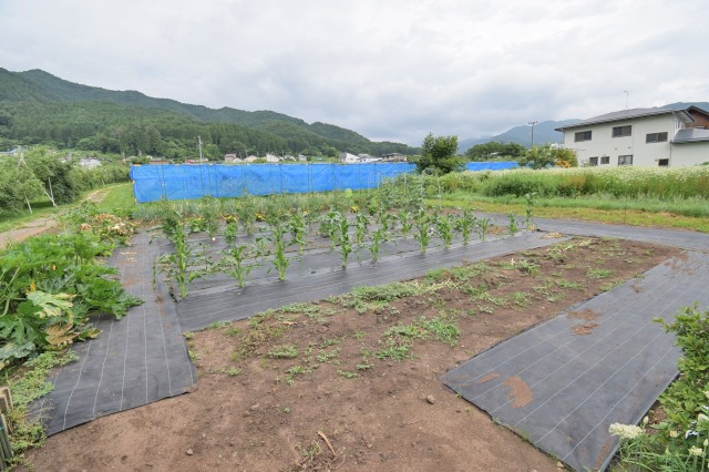 長野県住宅用売土地