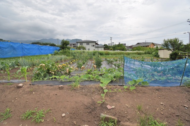 長野県住宅用売土地